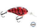Dive Master 14