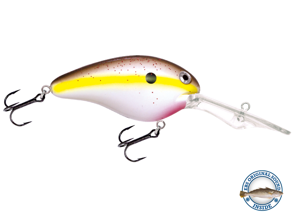 Dive Master 20