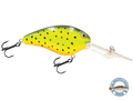 Dive Master 20