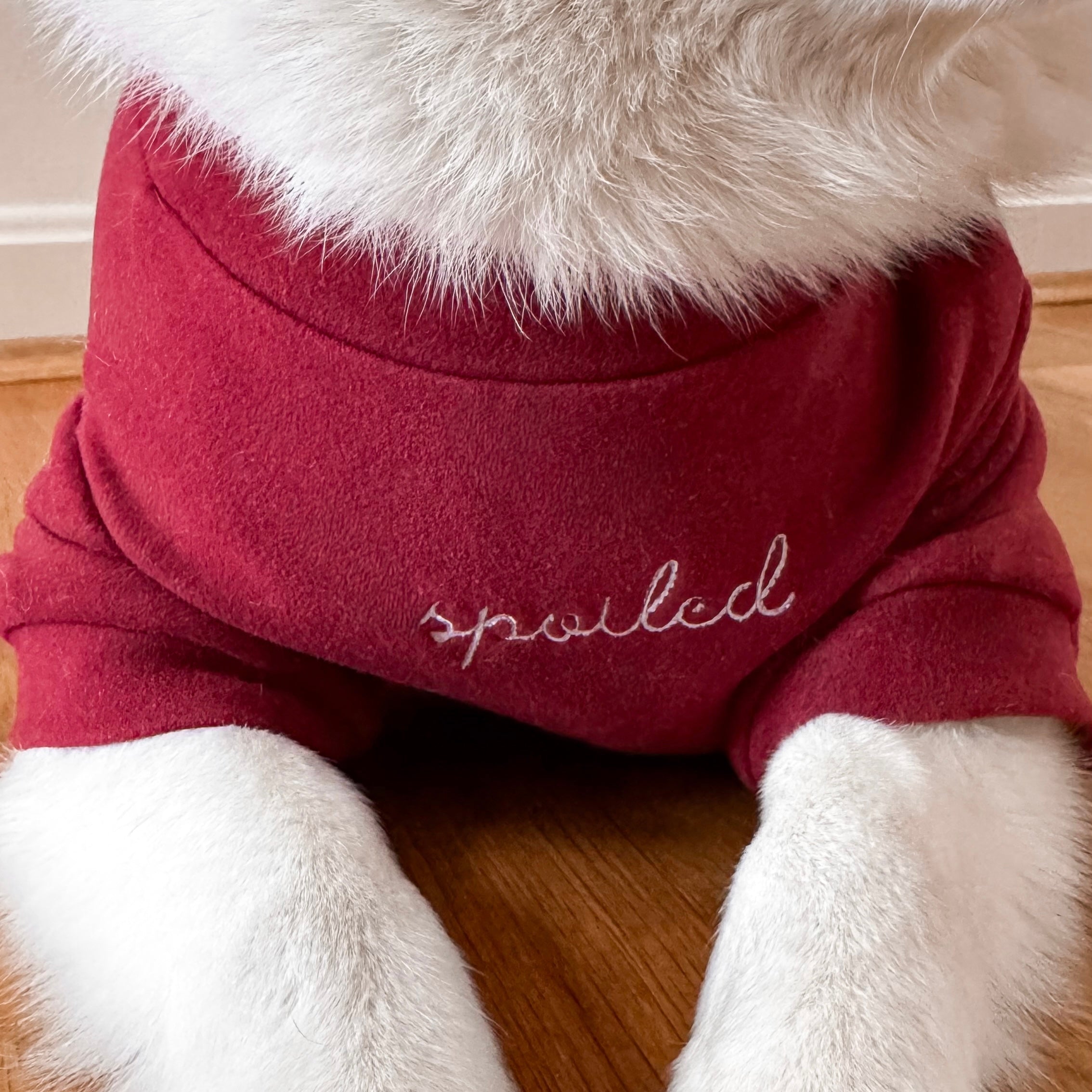 Spoiled Mock Neck Shirt - Lucky