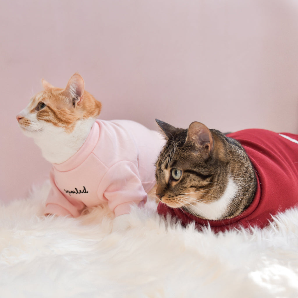 Spoiled Mock Neck Shirt - Lucky