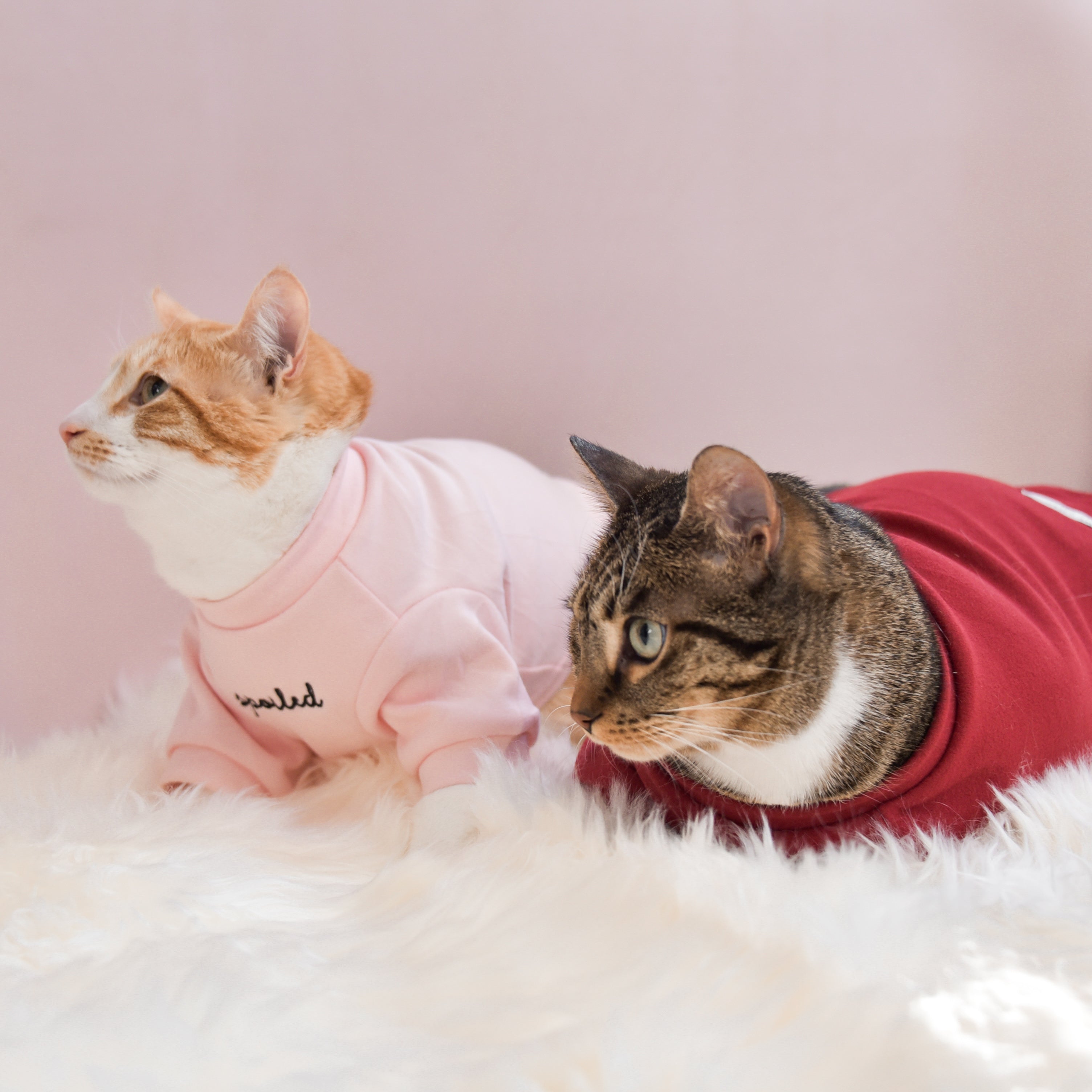 Spoiled Mock Neck Shirt - Lucky