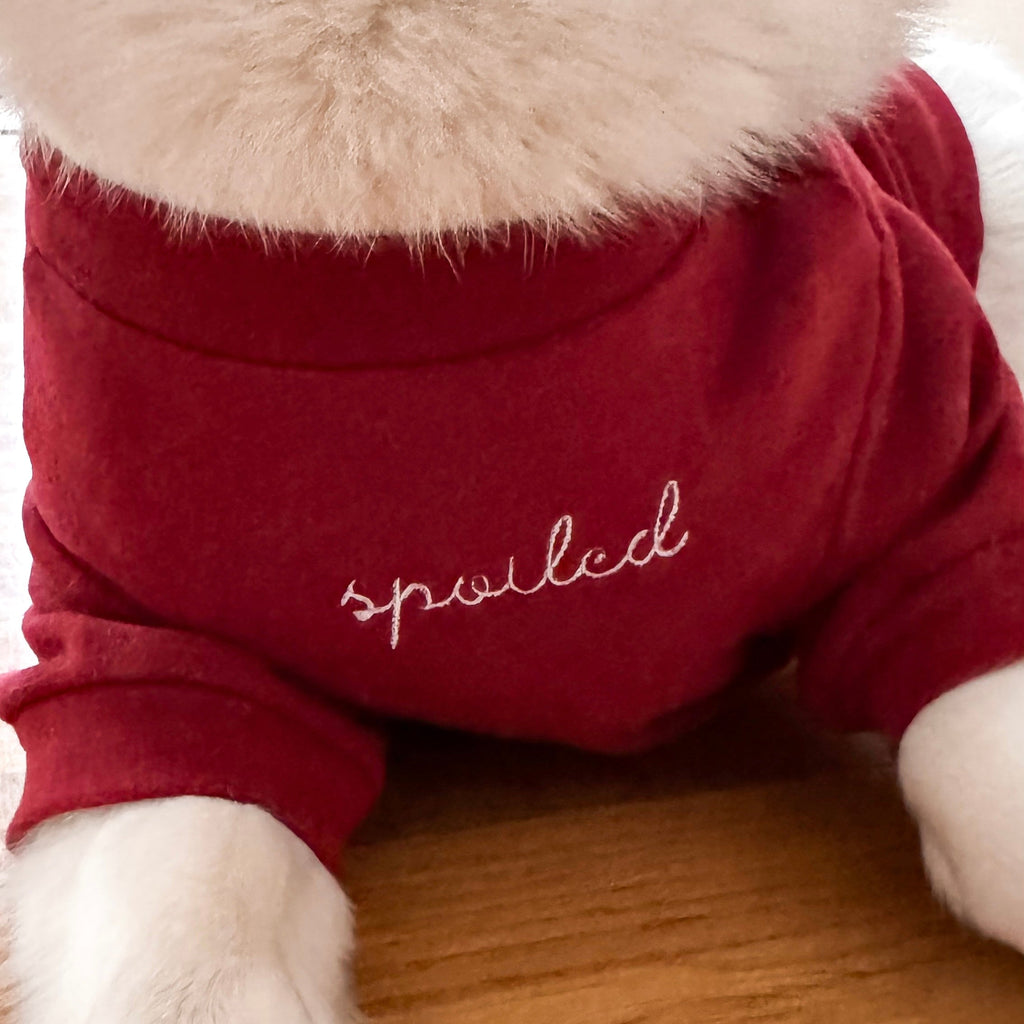 Spoiled Mock Neck Shirt - Lucky