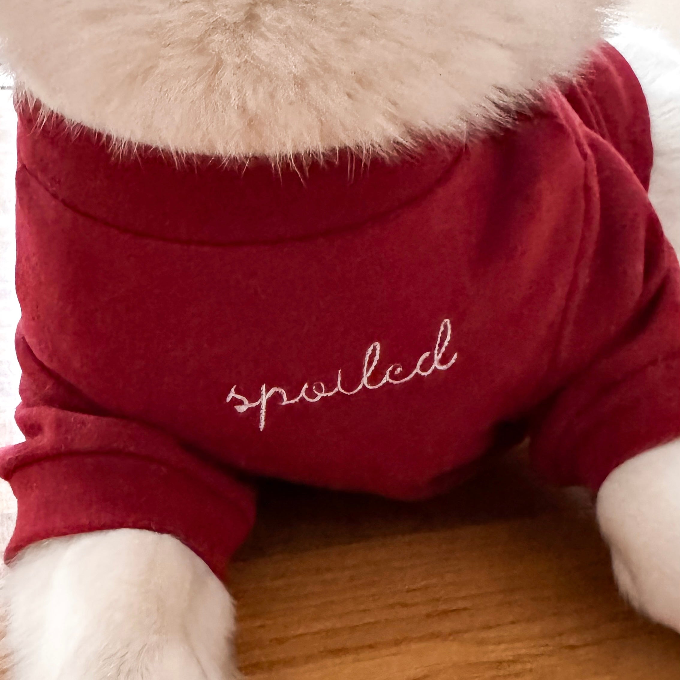 Spoiled Mock Neck Shirt - Lucky