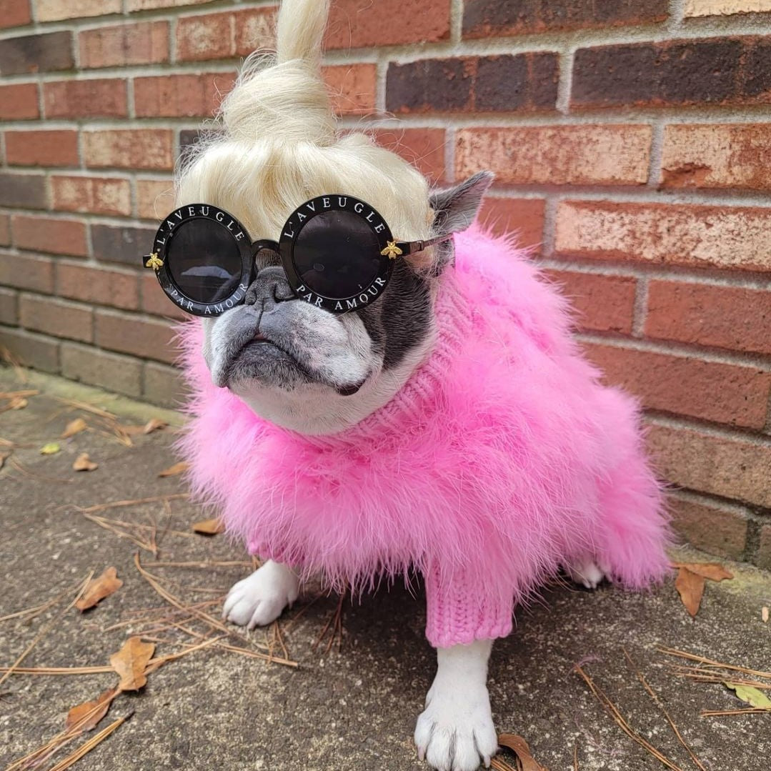 Haute Couture Feathered Luxury Pet Sweater
