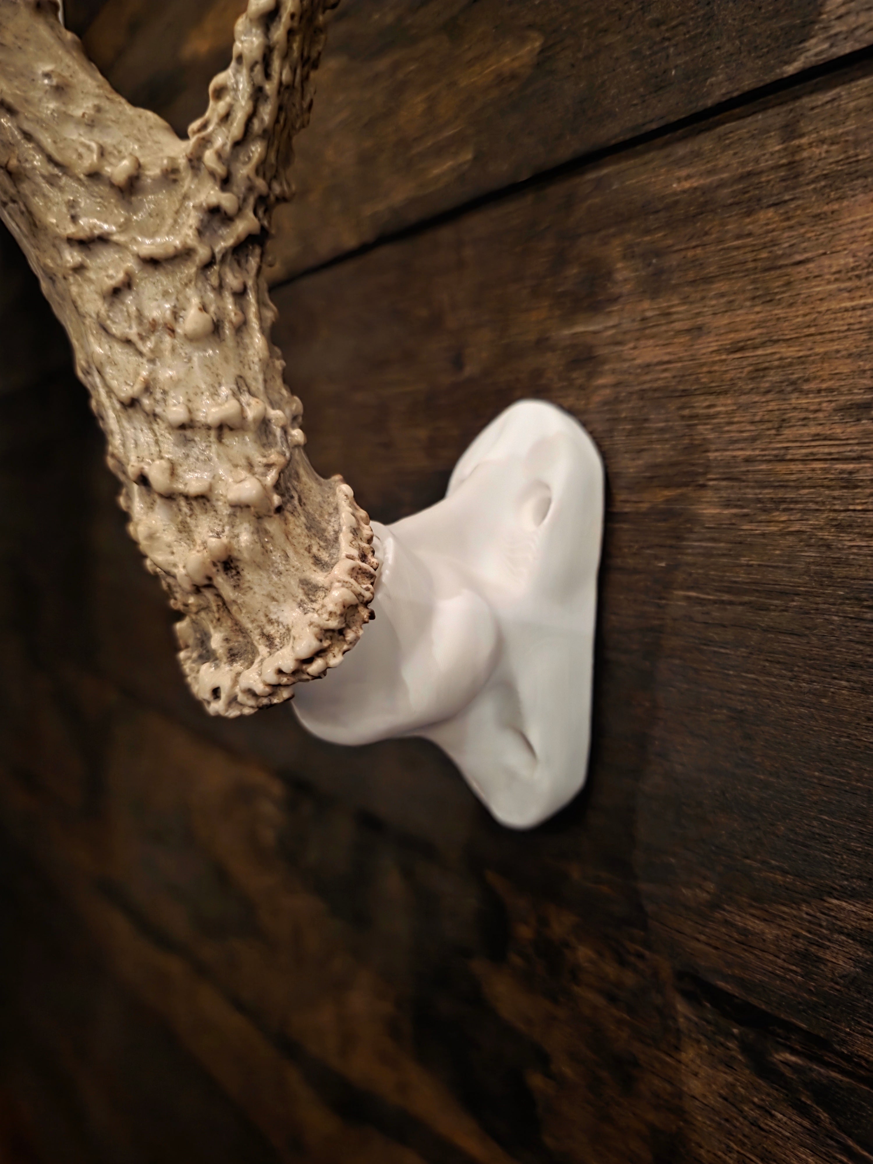 Deer Antler Wall Mount Bracket