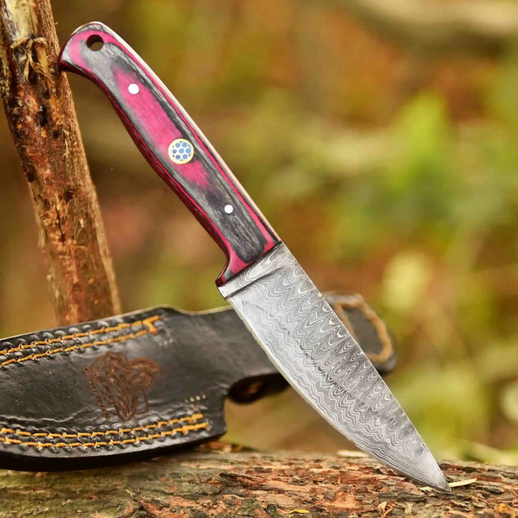 Damascus Steel Fixed Blade Knife – Pink & Blue Pakka Wood Handle | JW SteelCrafts