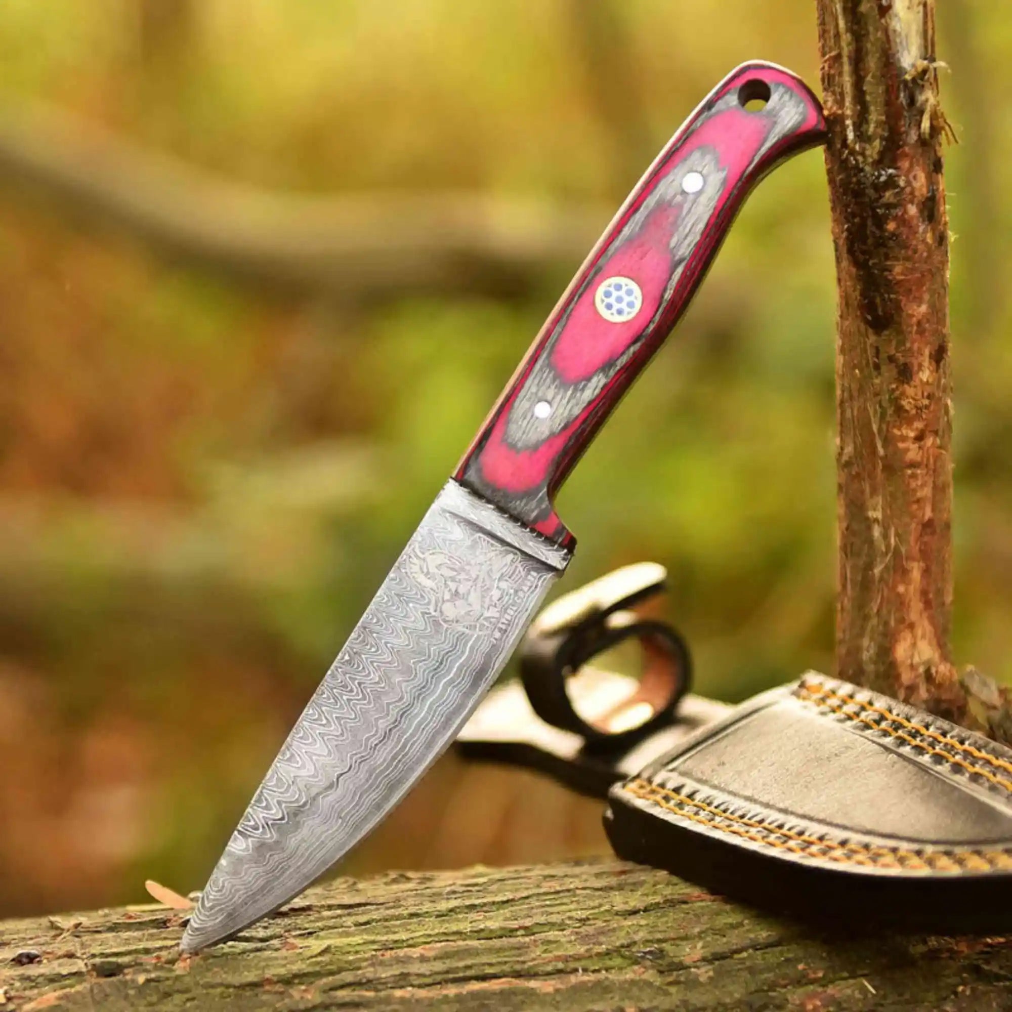 Damascus Steel Fixed Blade Knife – Pink & Blue Pakka Wood Handle | JW SteelCrafts
