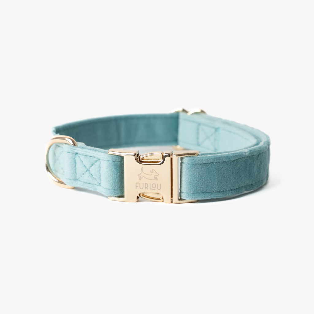'Blue' - Velvet Dog Collar