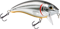 Bull Nose