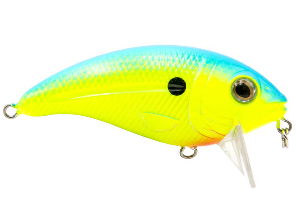 Bull Nose