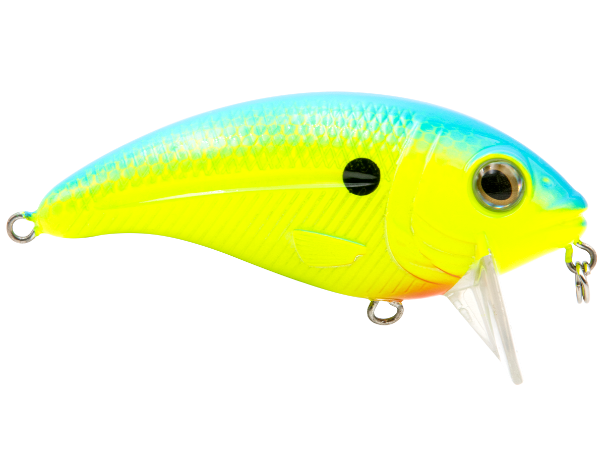 Bull Nose