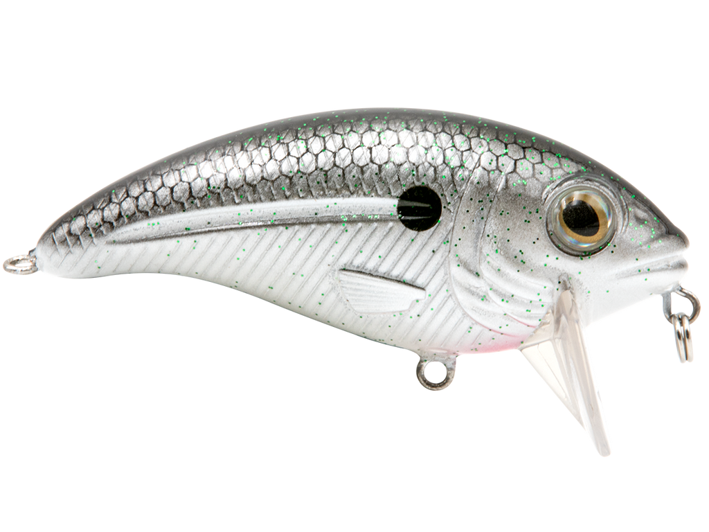 Bull Nose