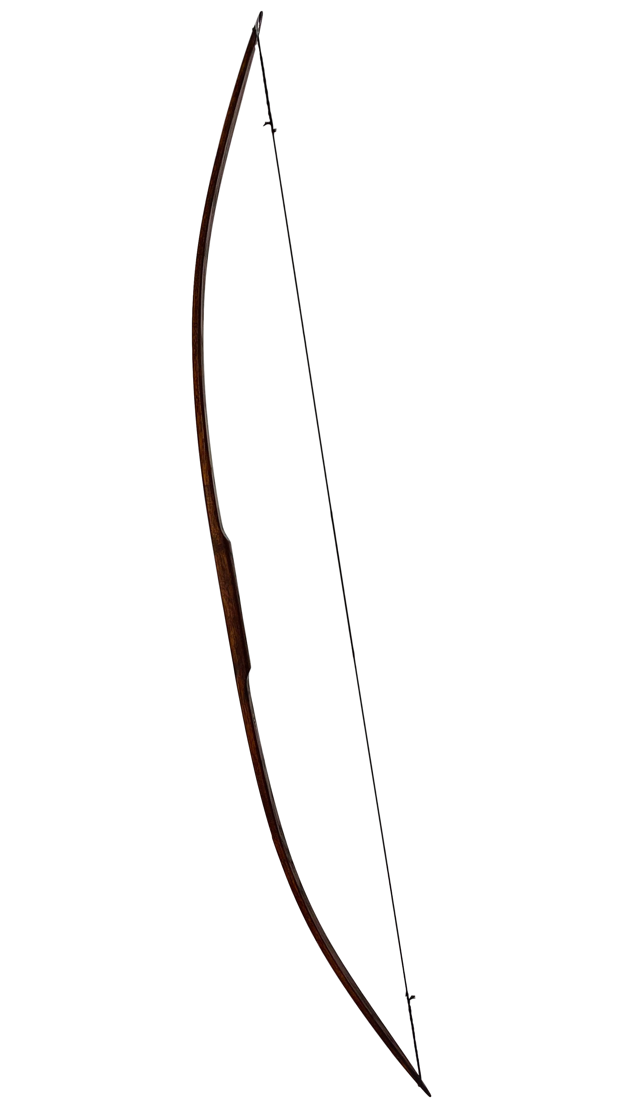 Bushman Flatbow - 65"