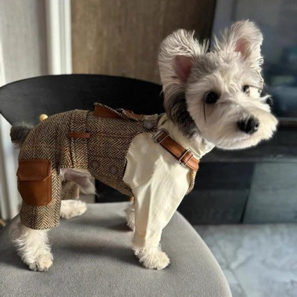 Autumn And Winter Overalls And Hoodies For Pet Cats And Dogs