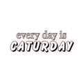Every Day Is Caturday Sticker