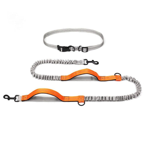 Ultimate Outdoor Adventure Dog Leash