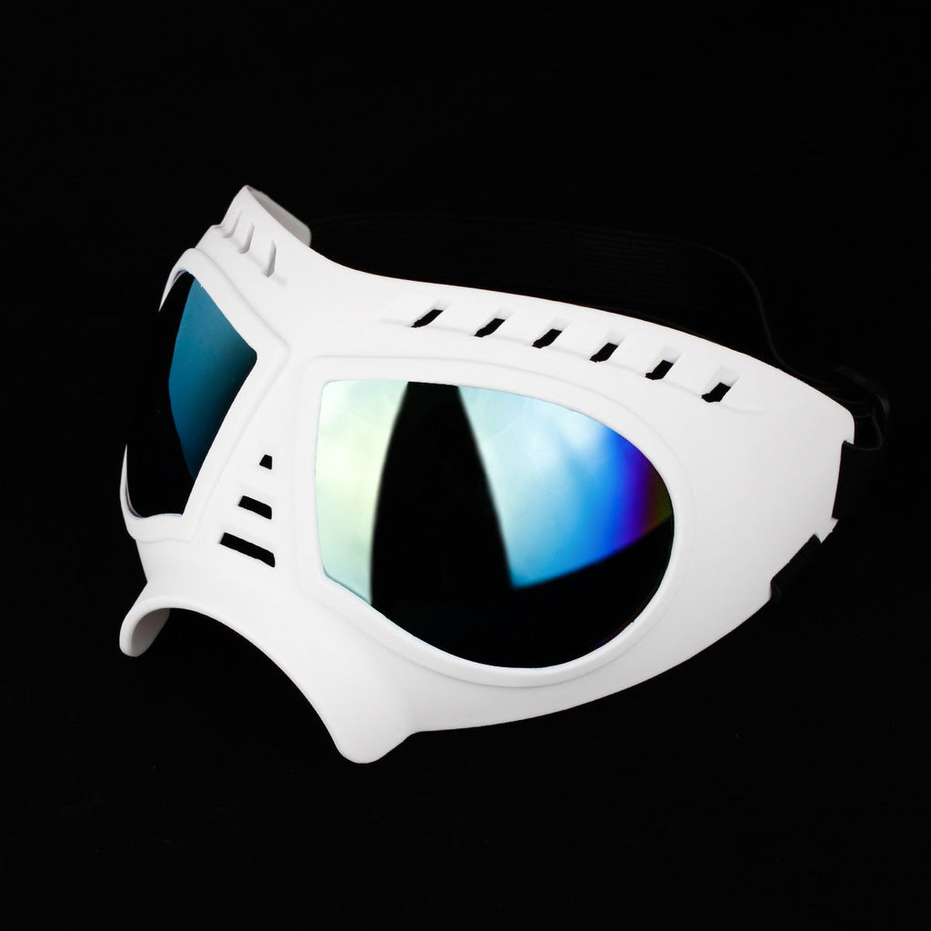 Dog goggles sunglasses skull