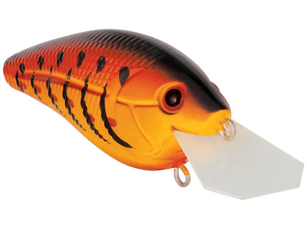 Primetyme CB 1.5