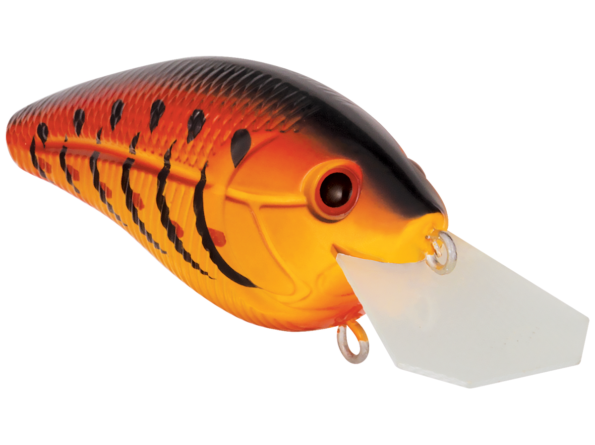 Primetyme CB 1.5
