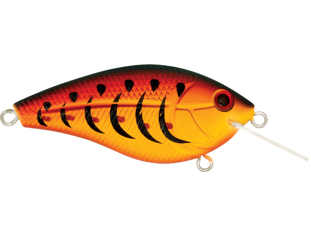 Primetyme CB 1.5
