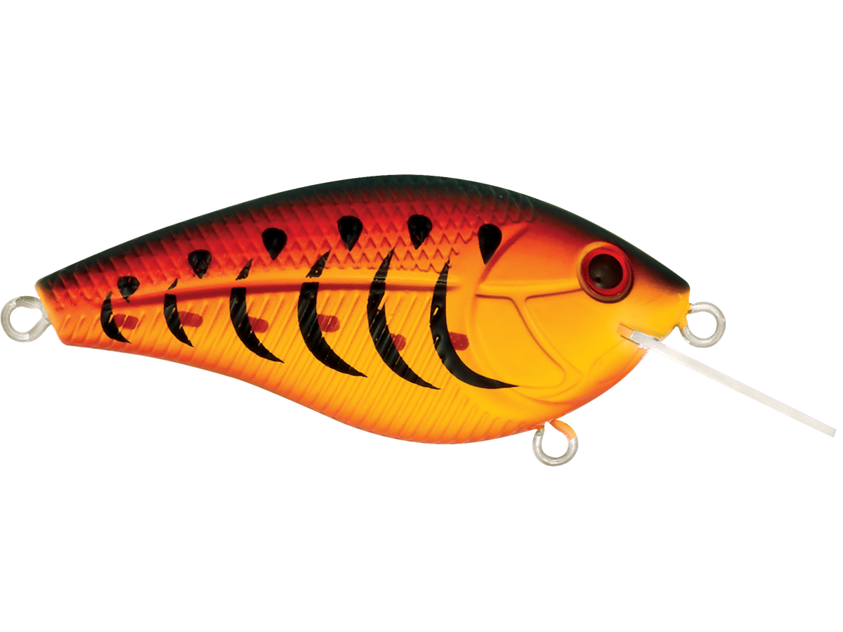 Primetyme CB 1.5