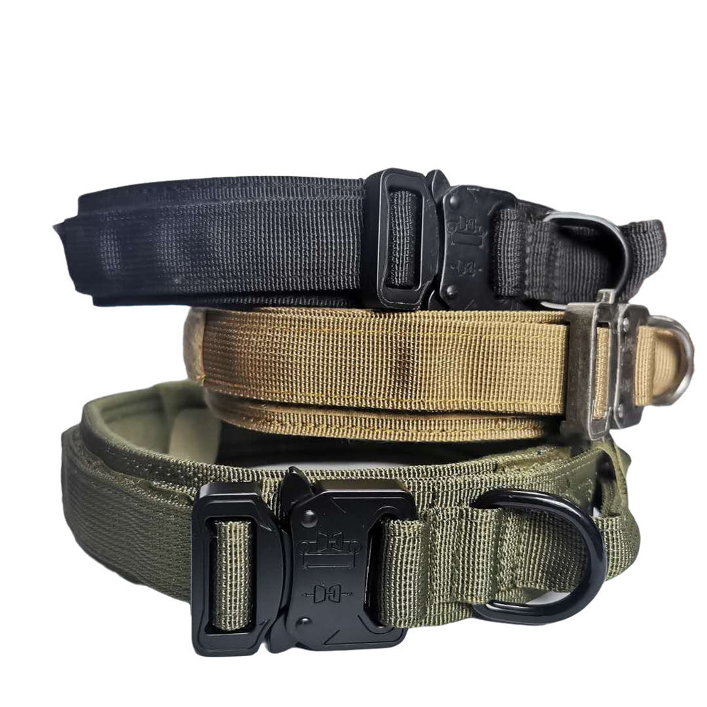 Tactical Dog Training Collar for Pups with K9 Aspirations