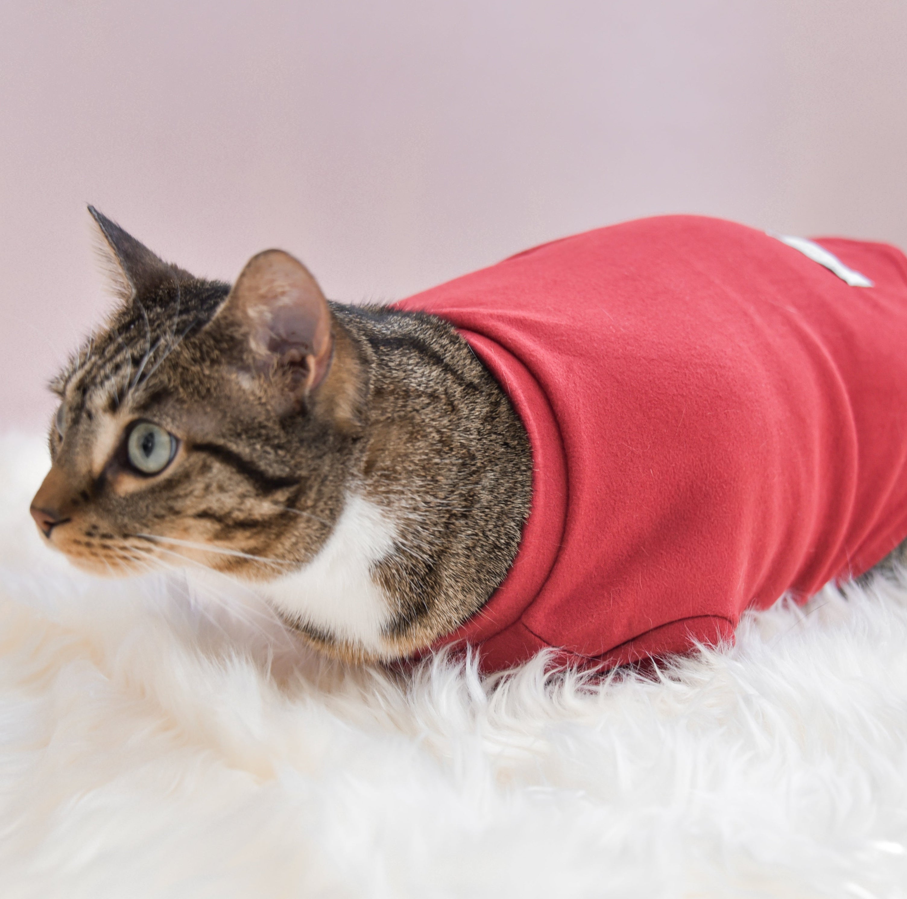 Spoiled Mock Neck Shirt - Lucky