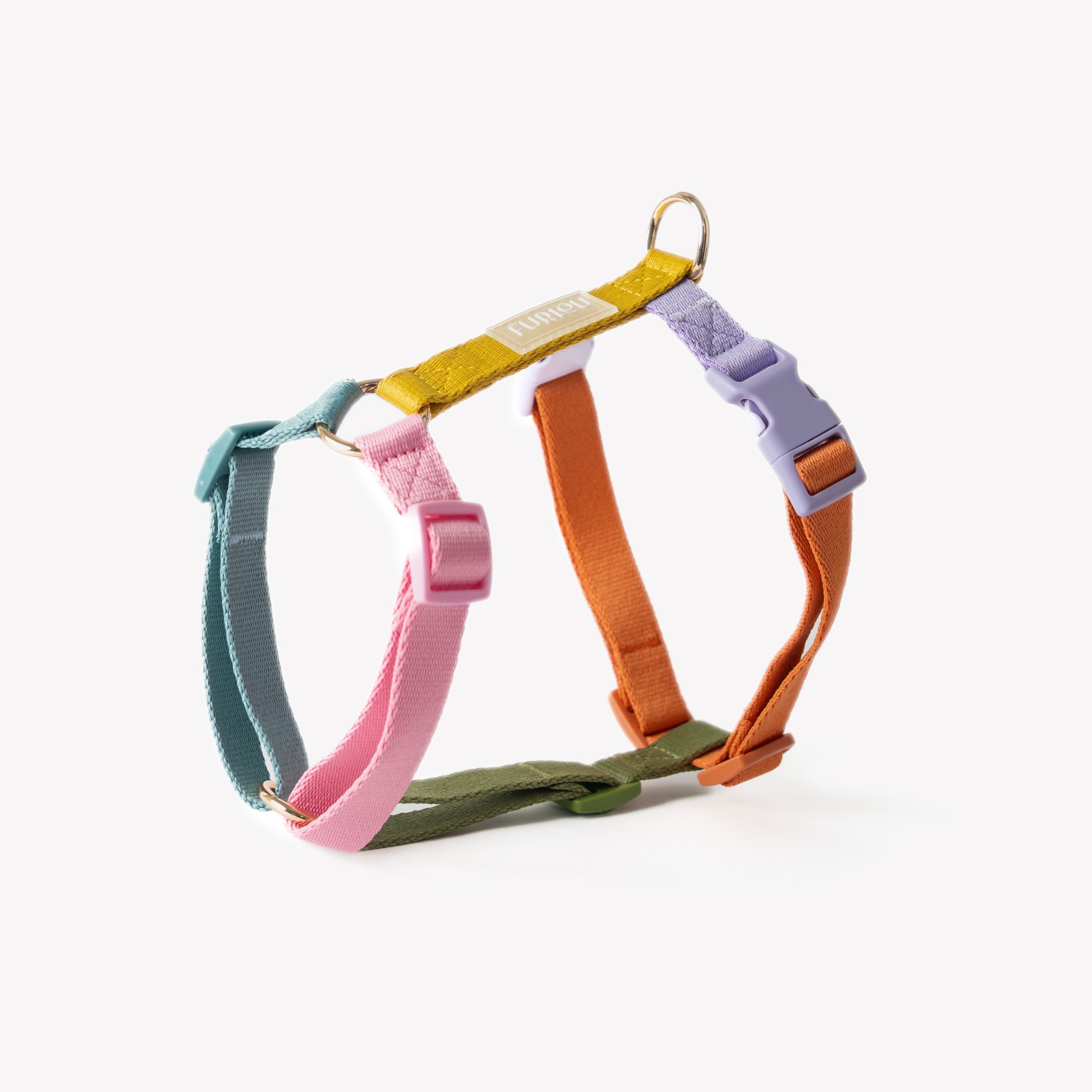 Rainbow - Dog Harness
