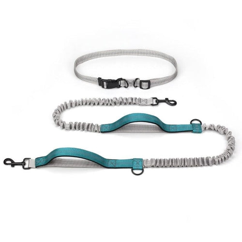 Ultimate Outdoor Adventure Dog Leash