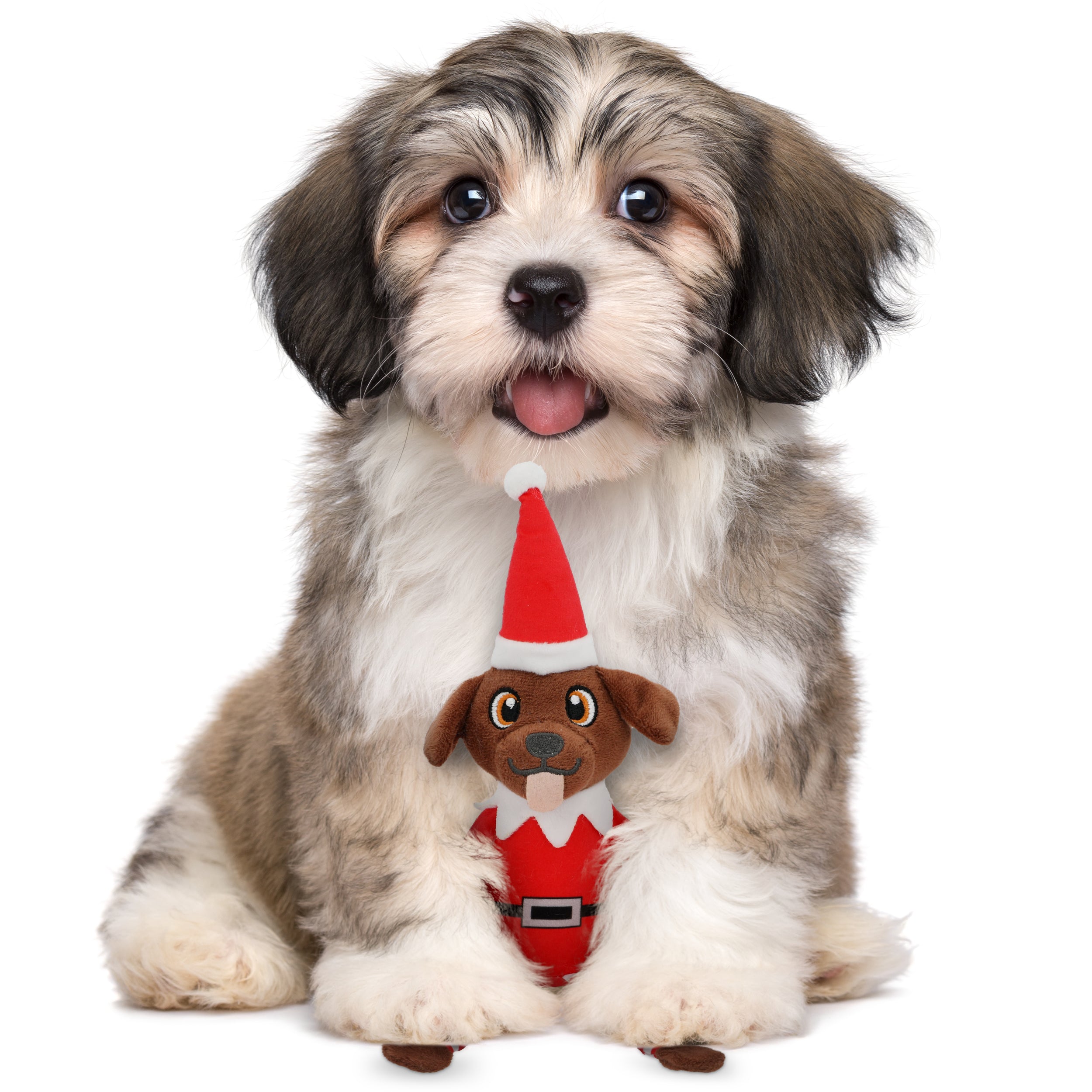 Pooch on a Perch – Christmas Elf Dog Toy with Squeaker & Crinkle Paper