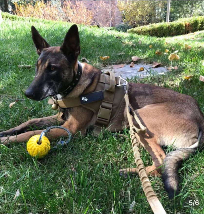 Tactical Dog Leash - Adjustable Military Tactical Collar for Medium and Large Pets, Ideal for Walking and Training