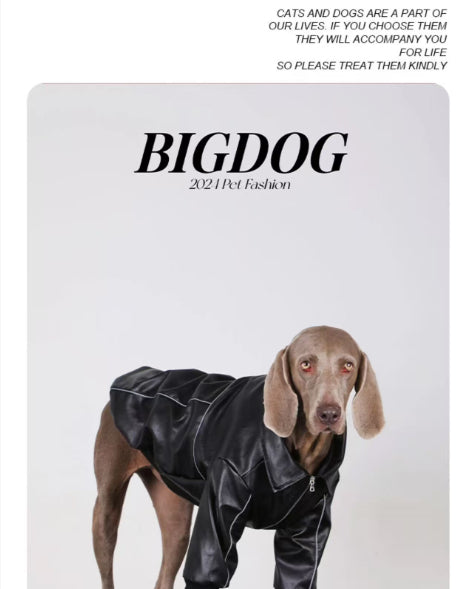 Dog Clothes For Medium To Large Breeds Autumn Black Leather Jacket For Labradors, Golden Retrievers, And Samoyeds