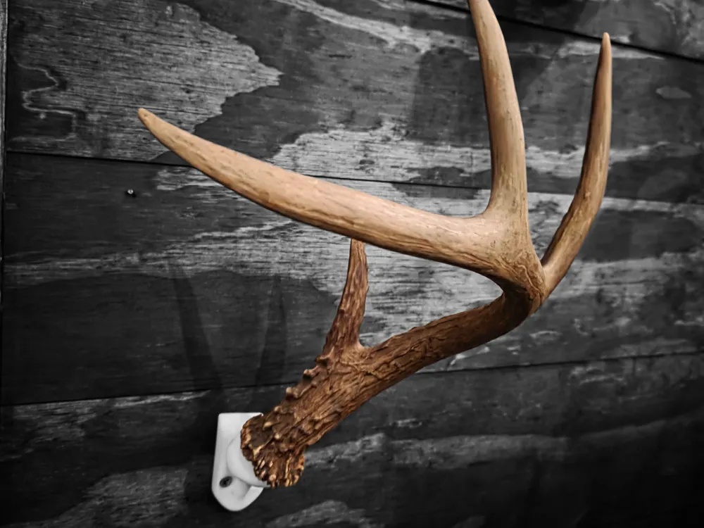 Deer Antler Wall Mount Bracket