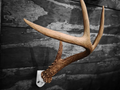 Deer Antler Wall Mount Bracket