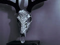 Graphic Deer Skull "Bliss" Mount System
