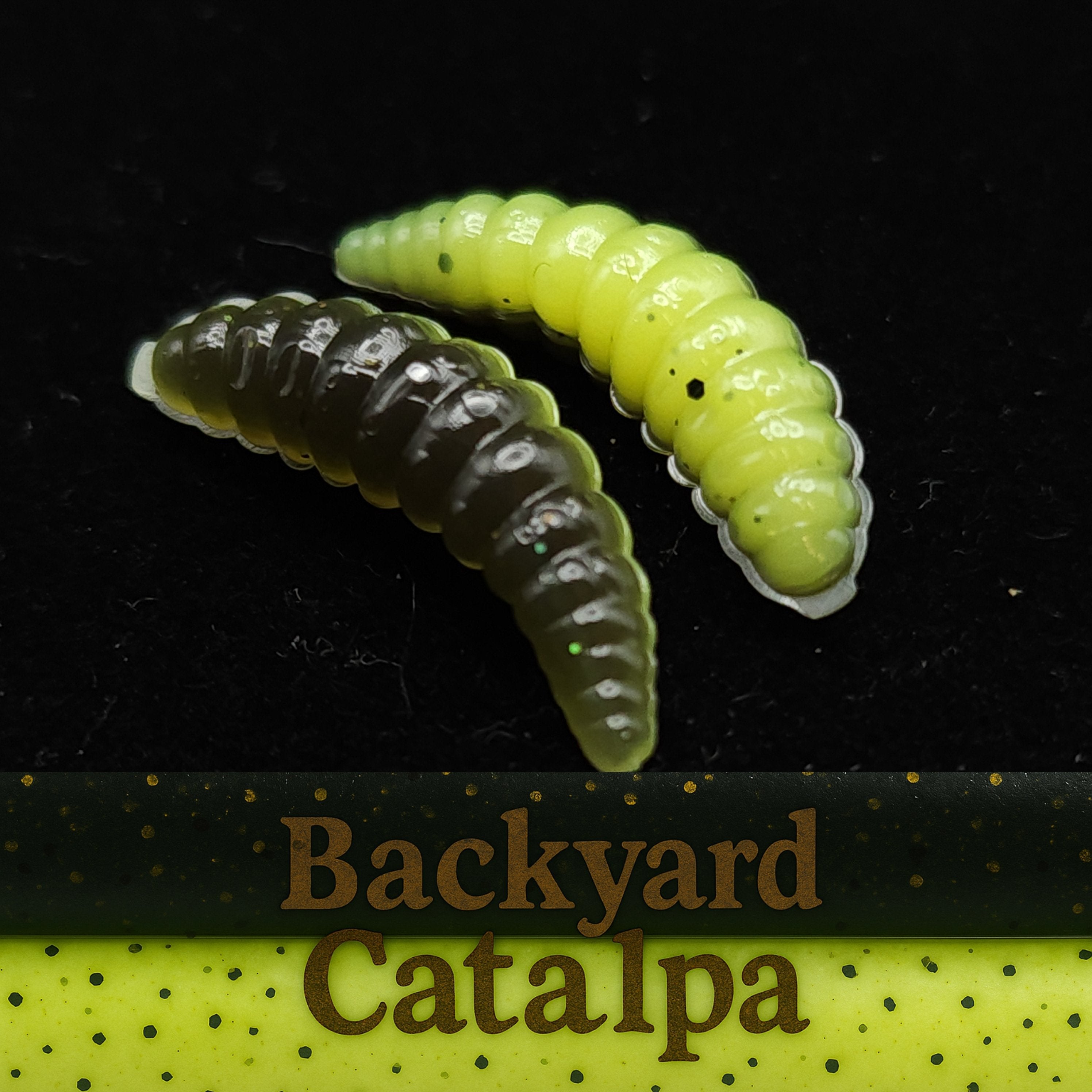 1" Waxworm "The Tater Bug"