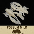 1" Inch Micro Crayfish "The Creek Crawler"