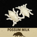0.5" Half Inch Micro Beetle "Toe Biter"