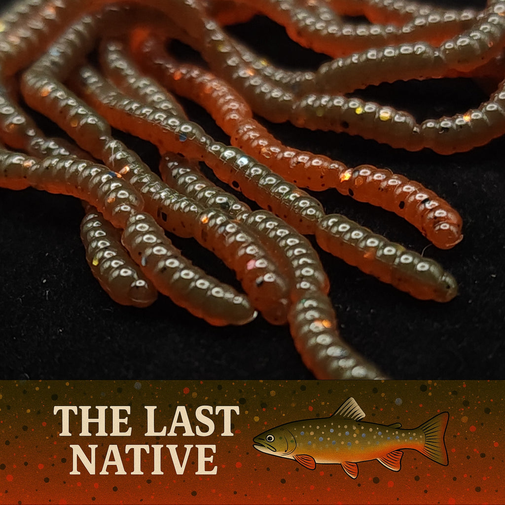 0.5" Inch Maggot Larvae "The Apple Maggot"