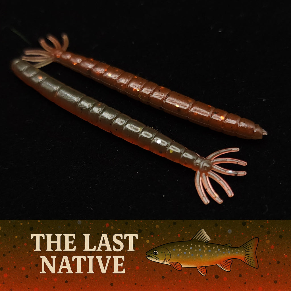 2" Crane Fly Larvae "Don't Touch It!"