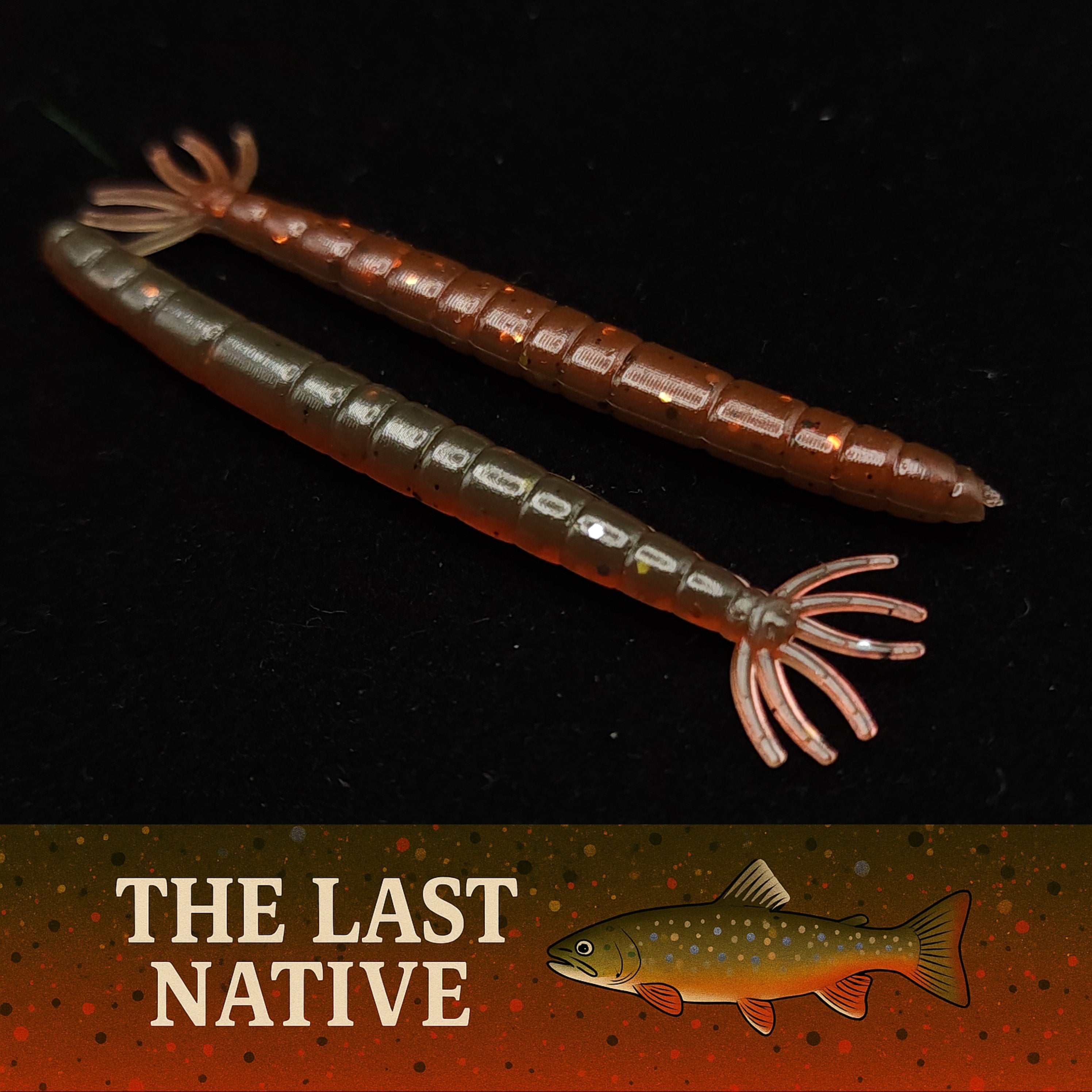 2" Crane Fly Larvae "Don't Touch It!"
