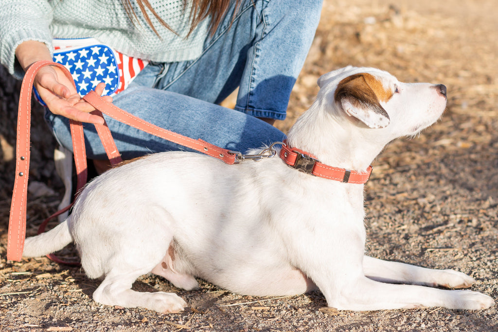 Pro Line Hunting Coral Reef Leather Leash