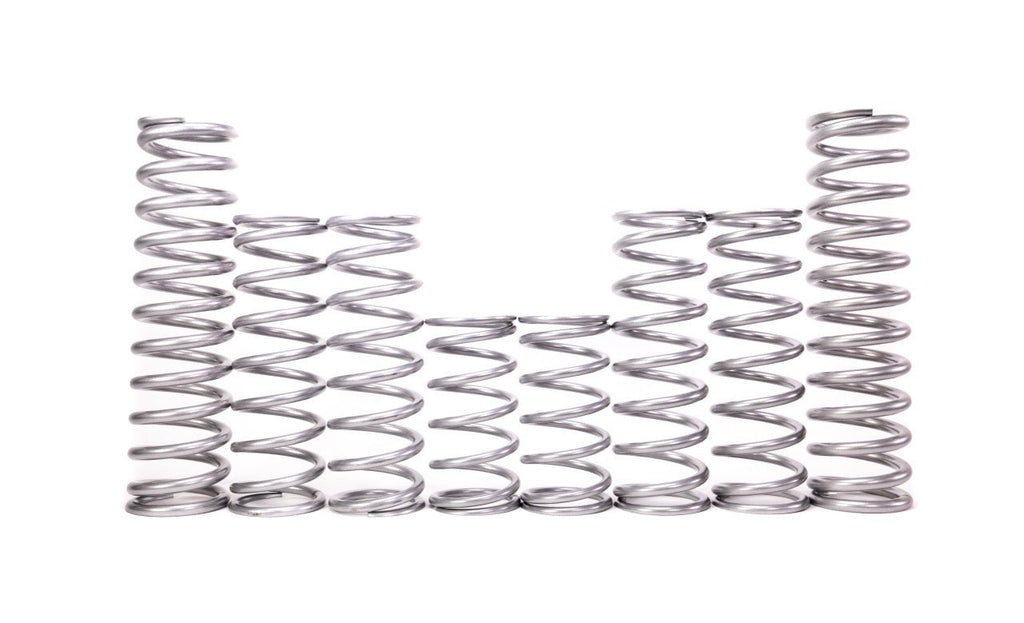 Shock Therapy Dual Rate Spring Kit (DRS) for Polaris RS1