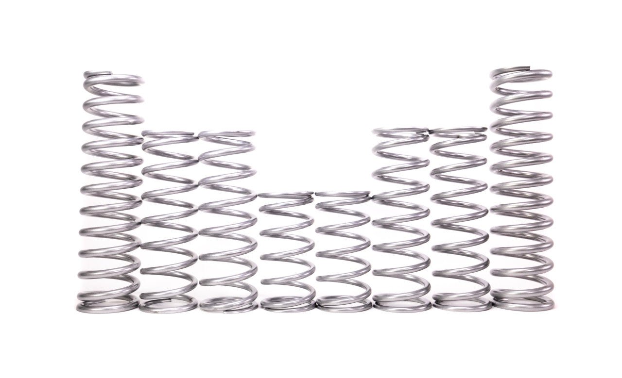 Shock Therapy Dual Rate Spring Kit (DRS) for Polaris RS1