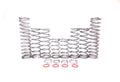 Shock Therapy Dual Rate Spring Kit (DRS) for Polaris RS1