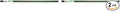 Rain Bird SWGP24INS EZ Pipe Flexible Swing Pipe, 2' Length (Pack of 2)