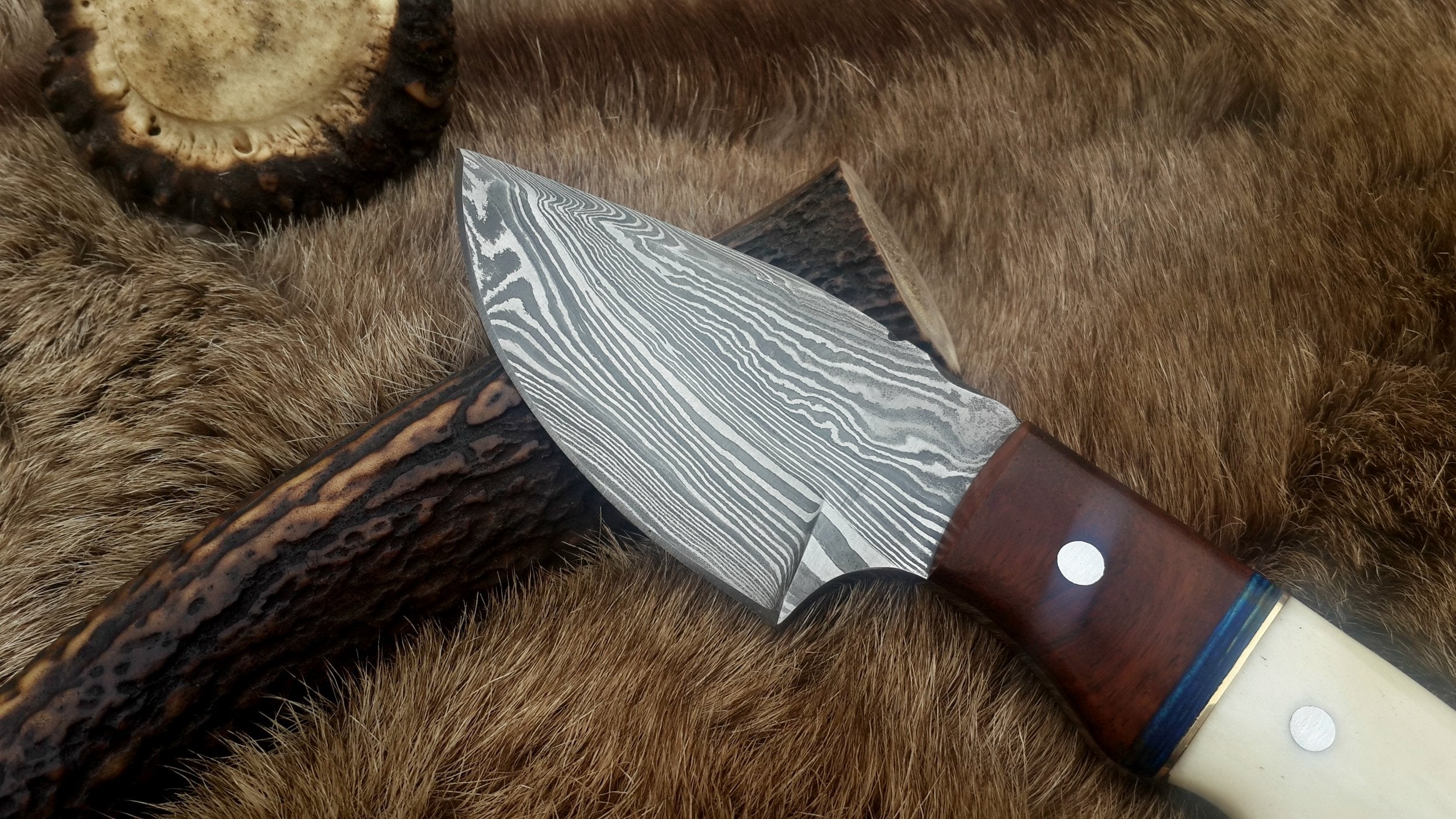 Damascus Steel Drop Point Skinning Knife with Bone and Rosewood Handle – 7 Inch Overall Length