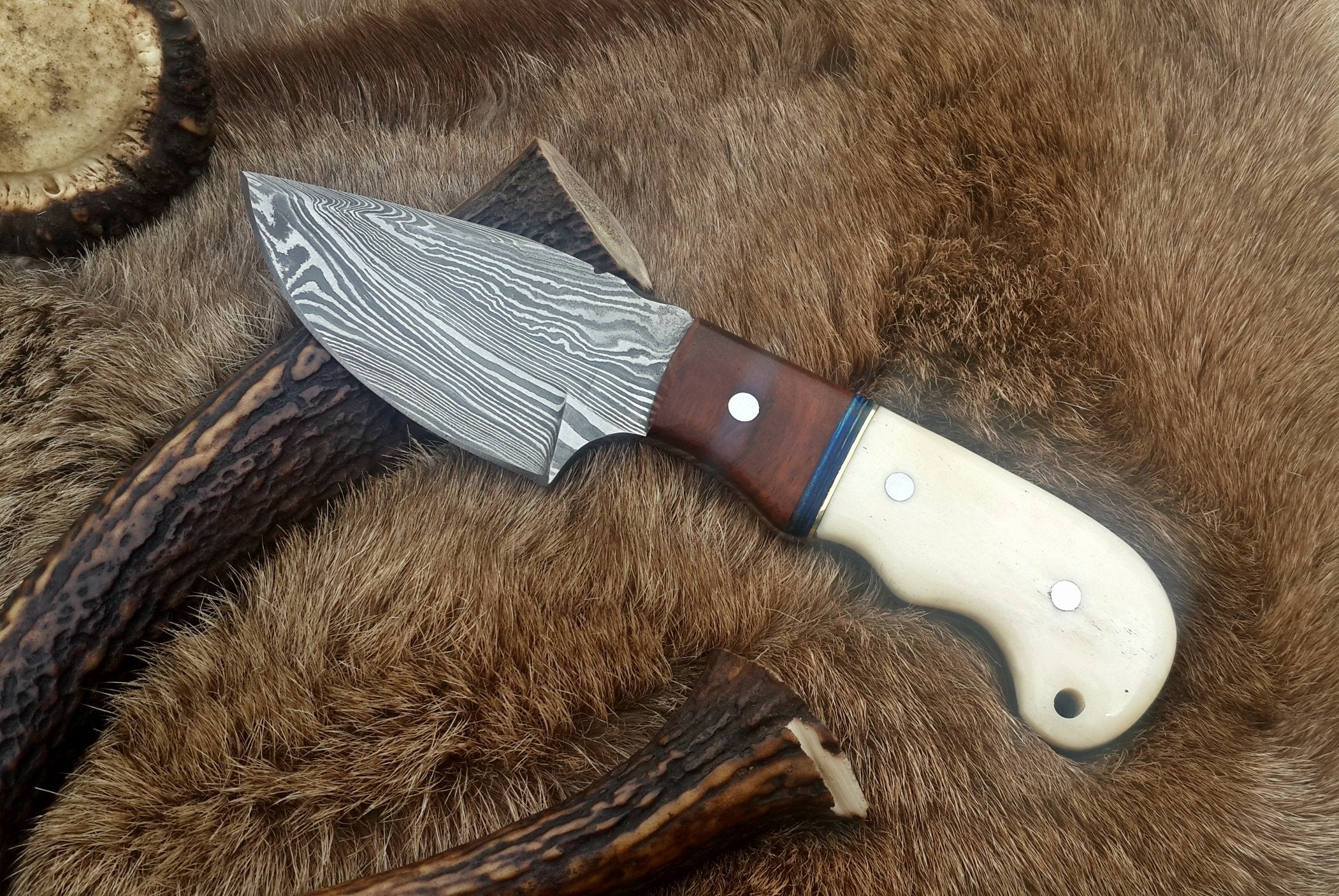 Damascus Steel Drop Point Skinning Knife with Bone and Rosewood Handle – 7 Inch Overall Length