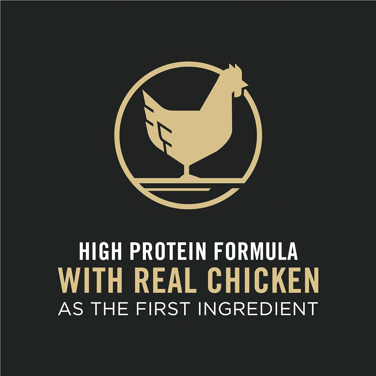 High Protein Cat Food